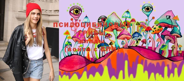 таблы Покровск