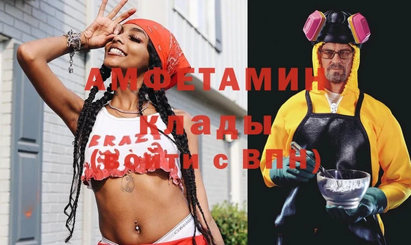 стаф Покачи