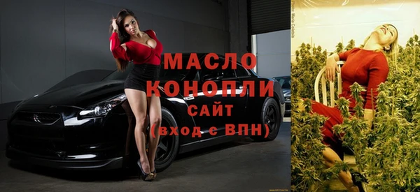 винт Пересвет