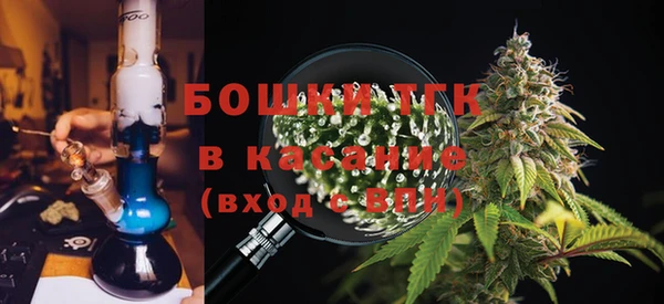 винт Пересвет