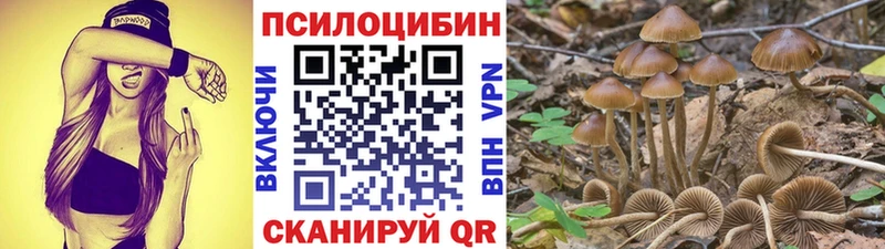 Псилоцибиновые грибы Psilocybe  Сосновка 